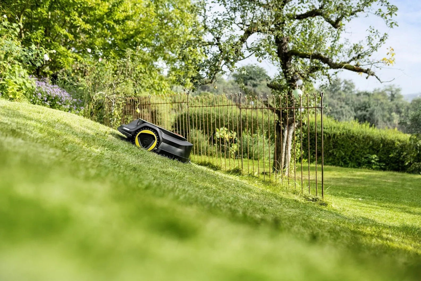 Kärcher Mährobotter RCX 6 *EU - Pillunat - 1.269 - 760.0 - Kärcher Home & Garden - Kärcher Professional - Kaser Kompressoren