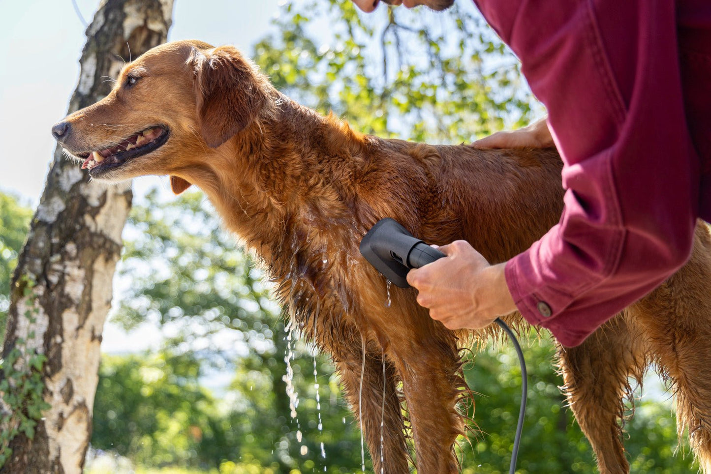 Kärcher Waschbuerste Haustier - Pillunat - 2.644 - 421.0 - Kärcher Home & Garden - Kärcher Professional - Kaser Kompressoren