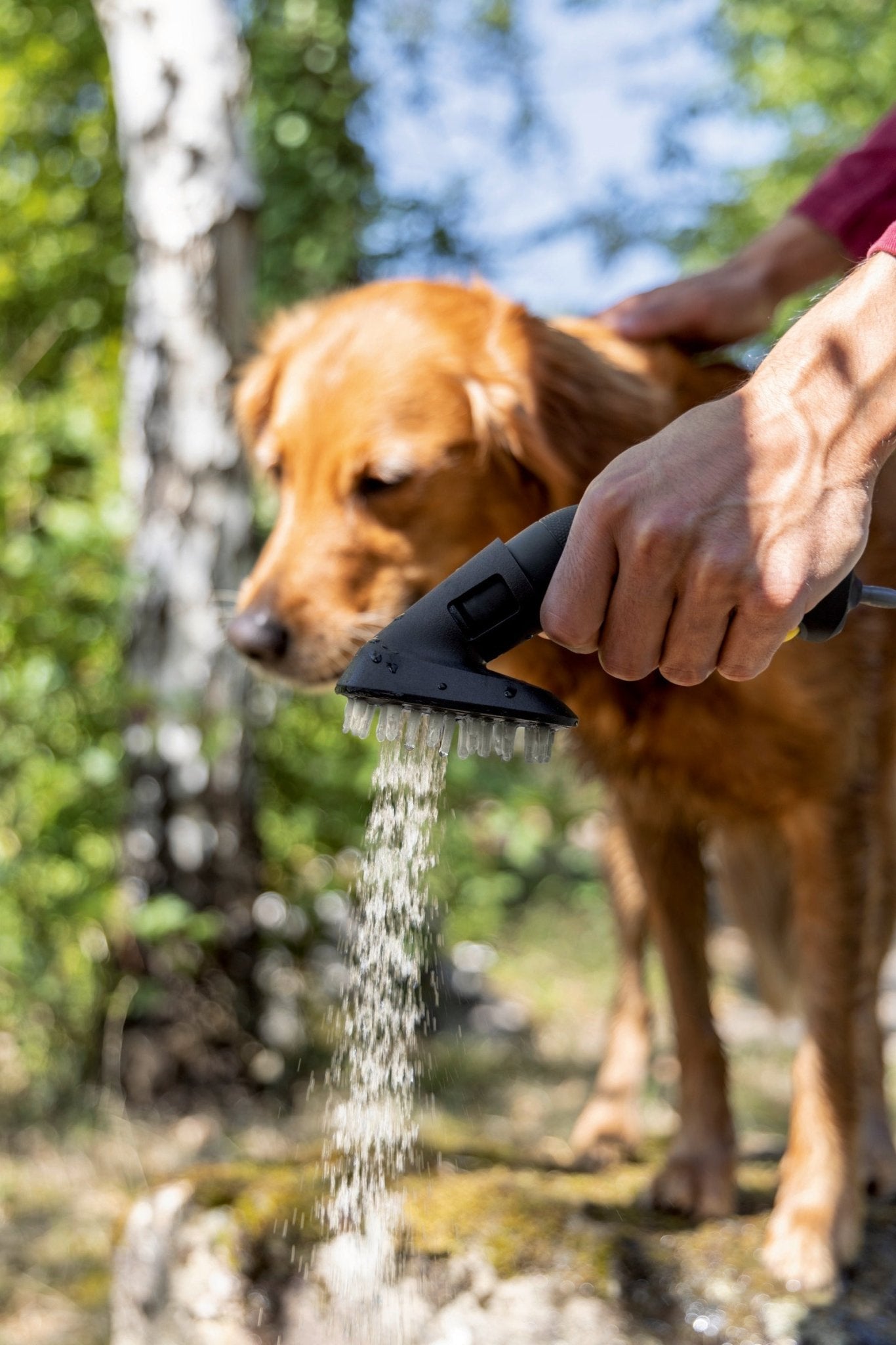 Kärcher Waschbuerste Haustier - Pillunat - 2.644 - 421.0 - Kärcher Home & Garden - Kärcher Professional - Kaser Kompressoren